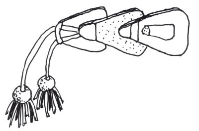 Иллюстрация к книге — Оригинальные изделия из кожи своими руками. Секреты изготовления [i_045.jpg]