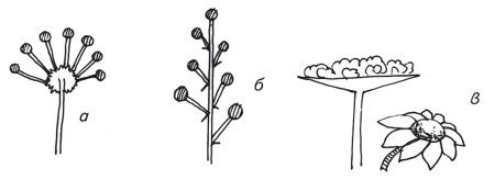 Иллюстрация к книге — Оригинальные изделия из кожи своими руками. Секреты изготовления [i_068.jpg]