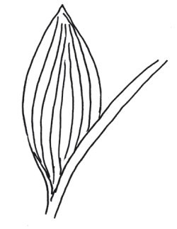 Иллюстрация к книге — Оригинальные изделия из кожи своими руками. Секреты изготовления [i_069.jpg]