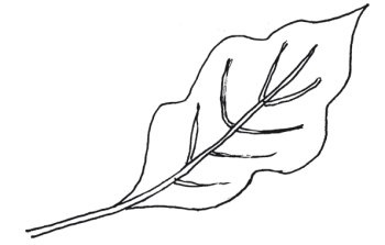 Иллюстрация к книге — Оригинальные изделия из кожи своими руками. Секреты изготовления [i_070.jpg]