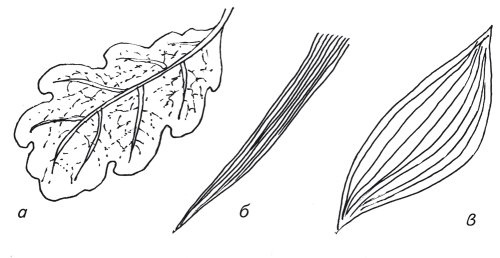 Иллюстрация к книге — Оригинальные изделия из кожи своими руками. Секреты изготовления [i_071.jpg]