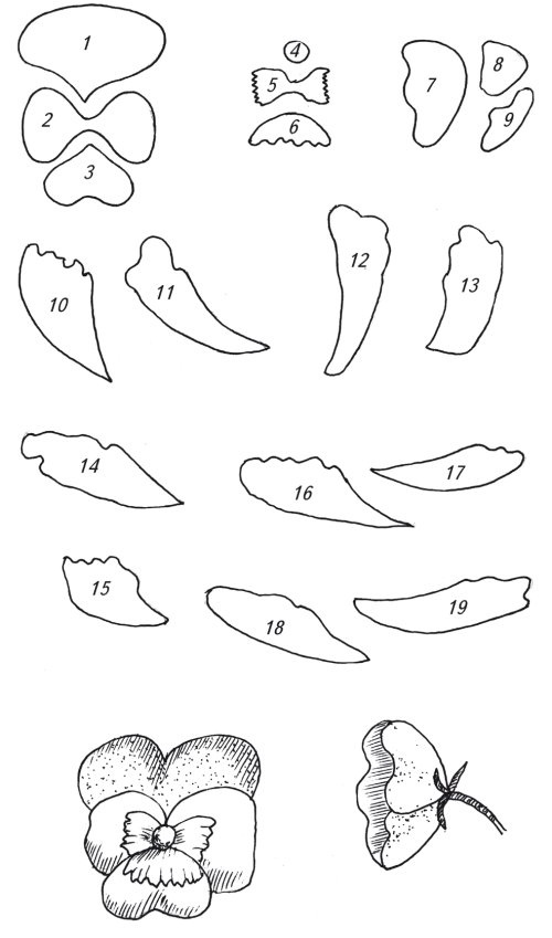 Иллюстрация к книге — Оригинальные изделия из кожи своими руками. Секреты изготовления [i_072.jpg]