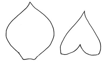 Иллюстрация к книге — Оригинальные изделия из кожи своими руками. Секреты изготовления [i_075.jpg]