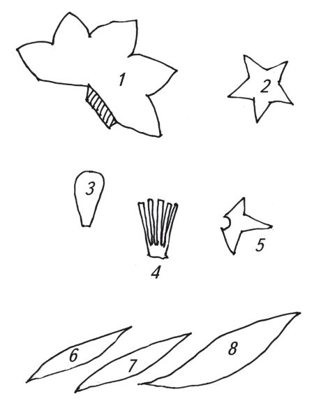 Иллюстрация к книге — Оригинальные изделия из кожи своими руками. Секреты изготовления [i_077.jpg]