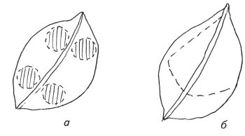 Иллюстрация к книге — Оригинальные изделия из кожи своими руками. Секреты изготовления [i_081.jpg]