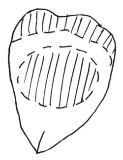 Иллюстрация к книге — Оригинальные изделия из кожи своими руками. Секреты изготовления [i_083.jpg]