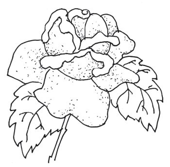 Иллюстрация к книге — Оригинальные изделия из кожи своими руками. Секреты изготовления [i_084.jpg]