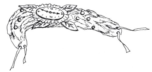 Иллюстрация к книге — Оригинальные изделия из кожи своими руками. Секреты изготовления [i_087.jpg]