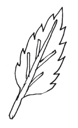 Иллюстрация к книге — Оригинальные изделия из кожи своими руками. Секреты изготовления [i_102.jpg]