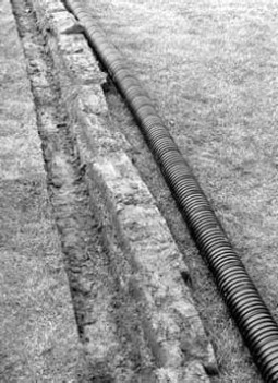 Иллюстрация к книге — Благоустройство территории вокруг коттеджа [i_021.jpg]