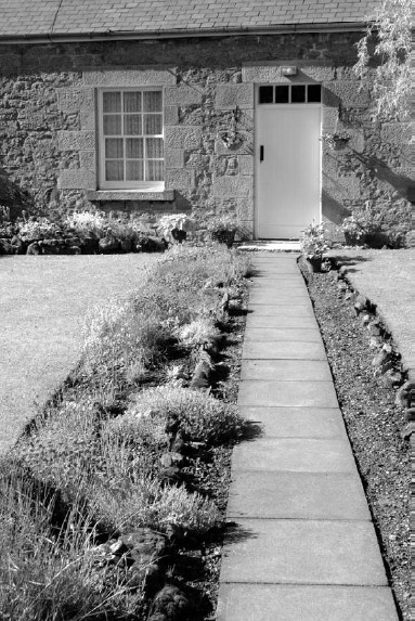 Иллюстрация к книге — Благоустройство территории вокруг коттеджа [i_026.jpg]