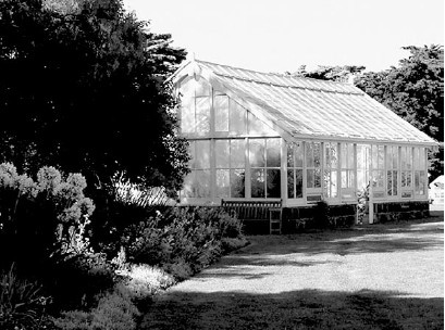 Иллюстрация к книге — Благоустройство территории вокруг коттеджа [i_031.jpg]