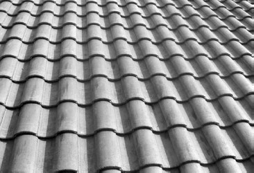 Иллюстрация к книге — Благоустройство территории вокруг коттеджа [i_055.jpg]