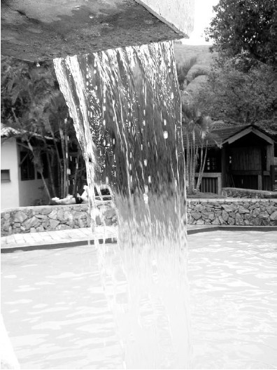 Иллюстрация к книге — Благоустройство территории вокруг коттеджа [i_063.jpg]