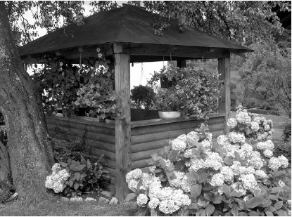 Иллюстрация к книге — Благоустройство территории вокруг коттеджа [i_081.jpg]