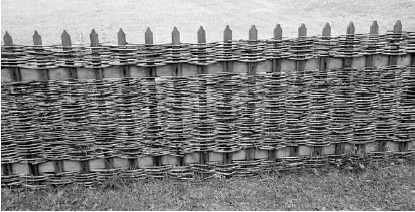 Иллюстрация к книге — Благоустройство территории вокруг коттеджа [i_083.jpg]