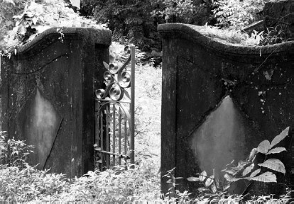 Иллюстрация к книге — Благоустройство территории вокруг коттеджа [i_086.jpg]