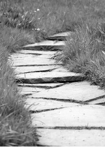 Иллюстрация к книге — Благоустройство территории вокруг коттеджа [i_087.jpg]