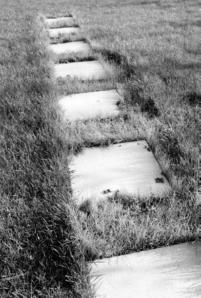 Иллюстрация к книге — Благоустройство территории вокруг коттеджа [i_088.jpg]