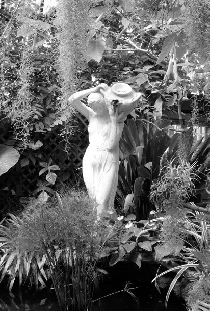 Иллюстрация к книге — Благоустройство территории вокруг коттеджа [i_090.jpg]