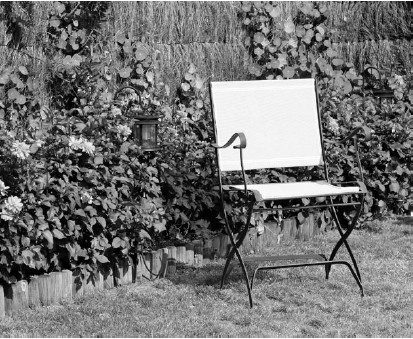 Иллюстрация к книге — Благоустройство территории вокруг коттеджа [i_092.jpg]