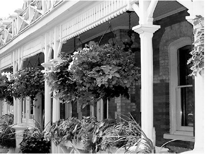 Иллюстрация к книге — Благоустройство территории вокруг коттеджа [i_101.jpg]