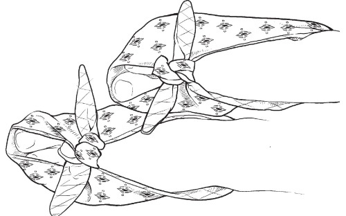 Иллюстрация к книге — Обувь для дома своими руками [i_061.jpg]