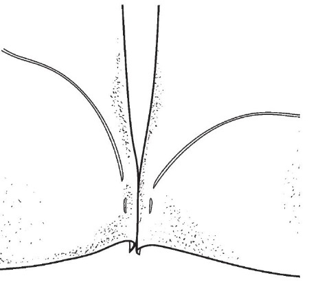 Иллюстрация к книге — Обувь для дома своими руками [i_103.jpg]