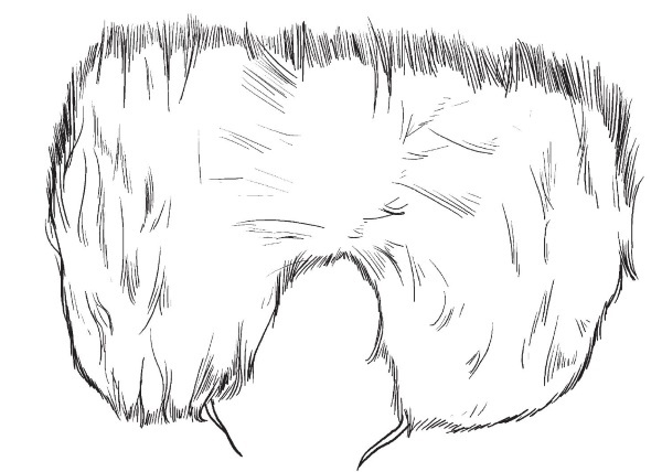 Иллюстрация к книге — Обувь для дома своими руками [i_244.jpg]