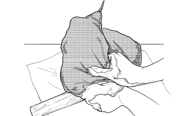 Иллюстрация к книге — Обувь для дома своими руками [i_246.jpg]