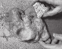 Иллюстрация к книге — Изделия из керамики [i_016.jpg]