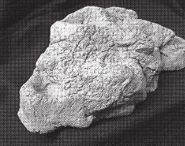 Иллюстрация к книге — Изделия из керамики [i_017.jpg]