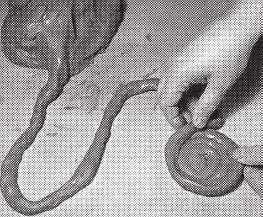 Иллюстрация к книге — Изделия из керамики [i_018.jpg]