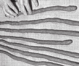 Иллюстрация к книге — Изделия из керамики [i_019.jpg]