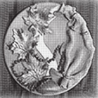 Иллюстрация к книге — Изделия из керамики [i_035.jpg]