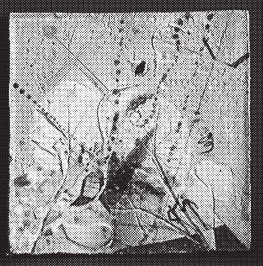 Иллюстрация к книге — Изделия из керамики [i_069.jpg]