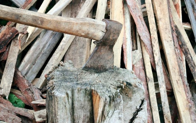 Иллюстрация к книге — Современная энциклопедия бани [_32.jpg]