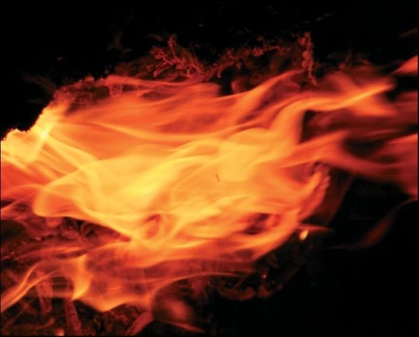 Иллюстрация к книге — Современная энциклопедия бани [_34.jpg]