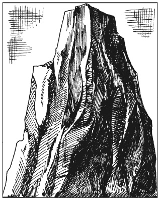 Иллюстрация к книге — Вышиваем гладью цветы и картины [autogen_ebook_id108.jpg]