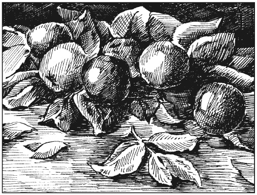 Иллюстрация к книге — Вышиваем гладью цветы и картины [autogen_ebook_id120.jpg]