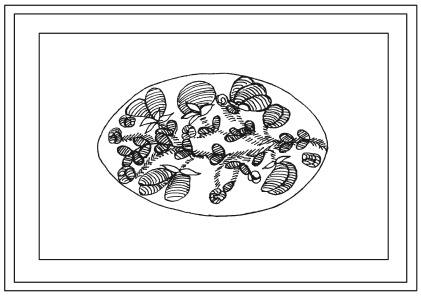 Иллюстрация к книге — Вышиваем гладью цветы и картины [autogen_ebook_id135.jpg]