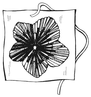 Иллюстрация к книге — Вышиваем гладью цветы и картины [autogen_ebook_id28.jpg]