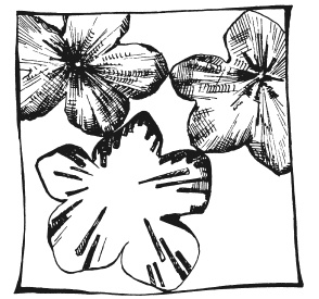 Иллюстрация к книге — Вышиваем гладью цветы и картины [autogen_ebook_id30.jpg]