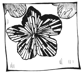 Иллюстрация к книге — Вышиваем гладью цветы и картины [autogen_ebook_id31.jpg]