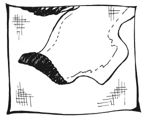 Иллюстрация к книге — Вышиваем гладью цветы и картины [autogen_ebook_id36.jpg]