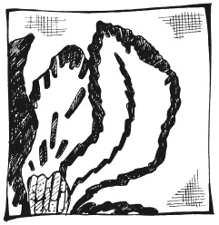 Иллюстрация к книге — Вышиваем гладью цветы и картины [autogen_ebook_id41.jpg]