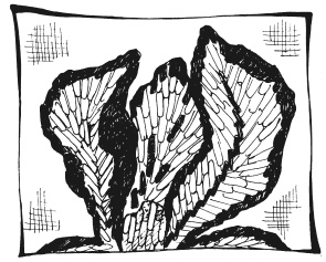 Иллюстрация к книге — Вышиваем гладью цветы и картины [autogen_ebook_id42.jpg]