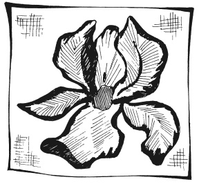 Иллюстрация к книге — Вышиваем гладью цветы и картины [autogen_ebook_id43.jpg]