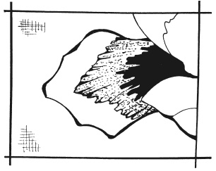 Иллюстрация к книге — Вышиваем гладью цветы и картины [autogen_ebook_id47.jpg]