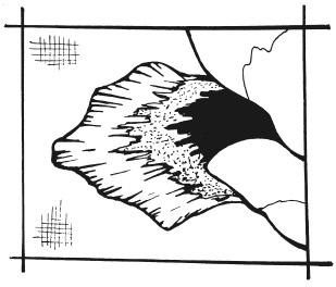 Иллюстрация к книге — Вышиваем гладью цветы и картины [autogen_ebook_id48.jpg]